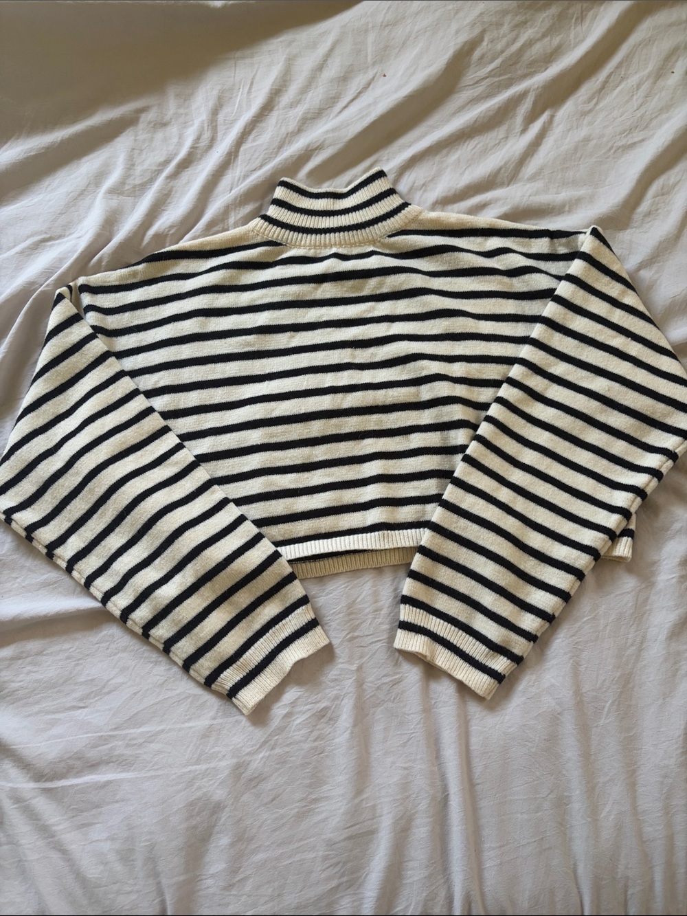 Cider Striped Cropped Turtleneck Sweater - Cream & Black